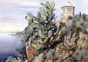 Cactus Opuntia, Monaco, 1845 Reproduction