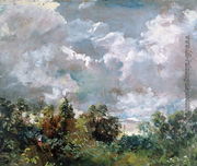 Study of Sky and Trees Reproduction