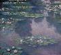 Water-Lilies IX Reproduction