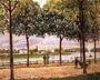 Promenade of Chestnut Trees Reproduction