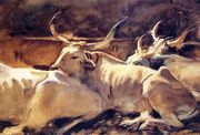 Oxen In Repose Reproduction