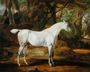 A Grey Arabian Stallion, the Property of Sir Watkin Williams-Wynn, c.1815-20 Reproduction