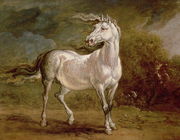 A Grey Charger in a Landscape Reproduction