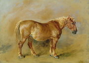 A Suffolk Punch Reproduction