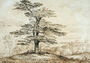 A Cedar on a Rise with a Herd of Deer Grouped Beneath its Shade, 1814 Reproduction