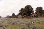 Haymaking in Fittleworth, Sussex Reproduction