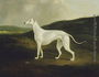 A Greyhound in a Landscape, 1817 Reproduction