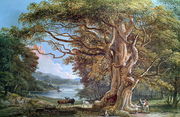 An Ancient Beech Tree, 1794 Reproduction