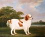 Spaniel in a Landscape, 1789 Reproduction