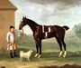 Fox - a dark bay hunter, held by a liveried groom, 1772 Reproduction