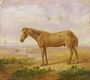 Old Billy, a Draught Horse, Aged 62 Reproduction