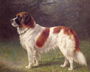 St. Bernard Reproduction