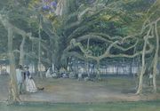 The Great Banyan Tree, Calcutta, 1859 Reproduction