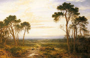 Across The Heath Reproduction