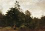 Forest Clearing in the Limousin I Reproduction