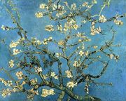 Branches with Almond Blossom Reproduction