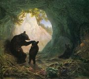 Bear and Cubs Reproduction