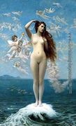 Venus Rising Reproduction