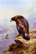 A Golden Eagle Reproduction