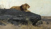 Lowe Auf Felsen (Lion On A Rock) Reproduction