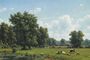 Cattle In A Summer Landscape Reproduction