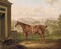 A Saddled Chestnut Hunter In A Landscape Reproduction