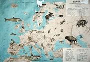 Map of animals in Europe Reproduction