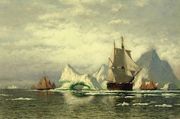 Arctic Whaler Homeward Bound Among The Icebergs Reproduction