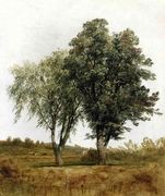 A Study Of Trees Reproduction