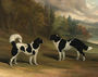 Nero and Marquis, two Landseer newfoundlands, in a wooded lake landscape Reproduction