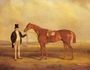 A Gentleman Holding Dangerous The Winner of the 1833 Derby Reproduction