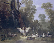 Ducks Resting in Sunshine 1753 Reproduction