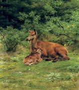 Biche et faon dans un sous-bois (A doe and her fawn in a thicket) Reproduction