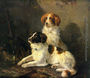 Two Spaniels Waiting for the Hunt Reproduction