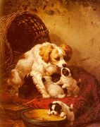 Henriette Ronner-Knip Reproductions