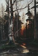 Birch Forest At Sunset Reproduction