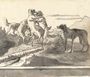 Dogs playing in a landscape Reproduction