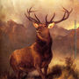 Monarch Of The Glen Reproduction