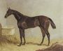 Birmingham, winner of the 1830 St. Leger Stakes, in a stable Reproduction