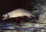 A Brook Trout Reproduction