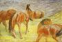 Grazing Horses Reproduction