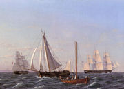 Sailing Ships Reproduction