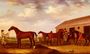 Four Racehorses Outside The Rubbing Down House, Newmarket Reproduction