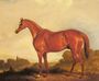 A Portrait of the Racehorse Harkaway, the Winner of the 1838 Goodwood Cup Reproduction