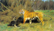 A Tiger with its Prey Reproduction