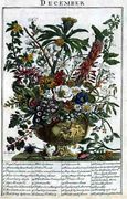 December, from 'The Flower Garden Displayed' Reproduction