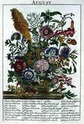 August, from 'The Flower Garden Displayed' Reproduction