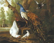 An Assembly of Birds in a Classical Park, 1719 2 Reproduction