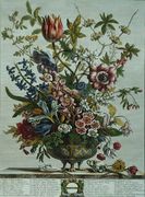 February, from `Twelve Months of Flowers Reproduction