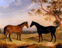 Two Mares In A Landscape Reproduction